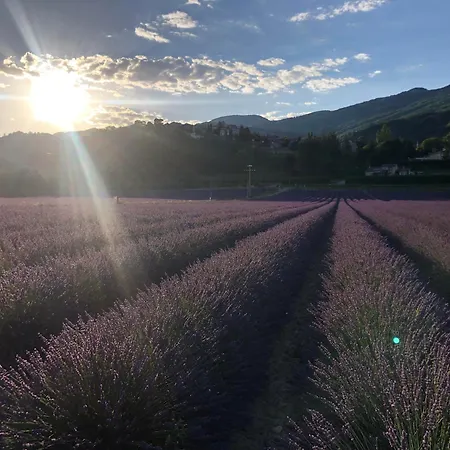 De La Condamine Apartament *