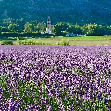 Apartament De La Condamine