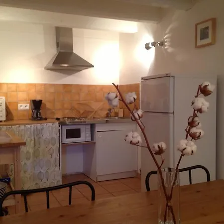 De La Condamine Apartment Curbans