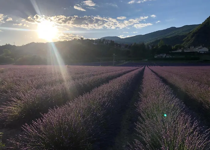 De La Condamine Apartament *