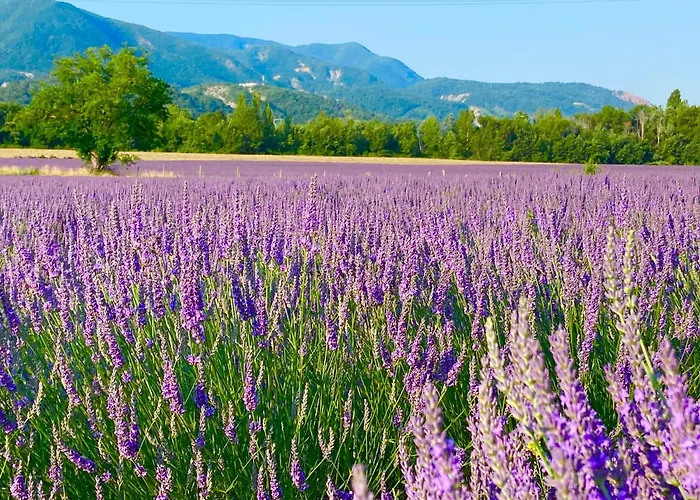 De La Condamine דירה